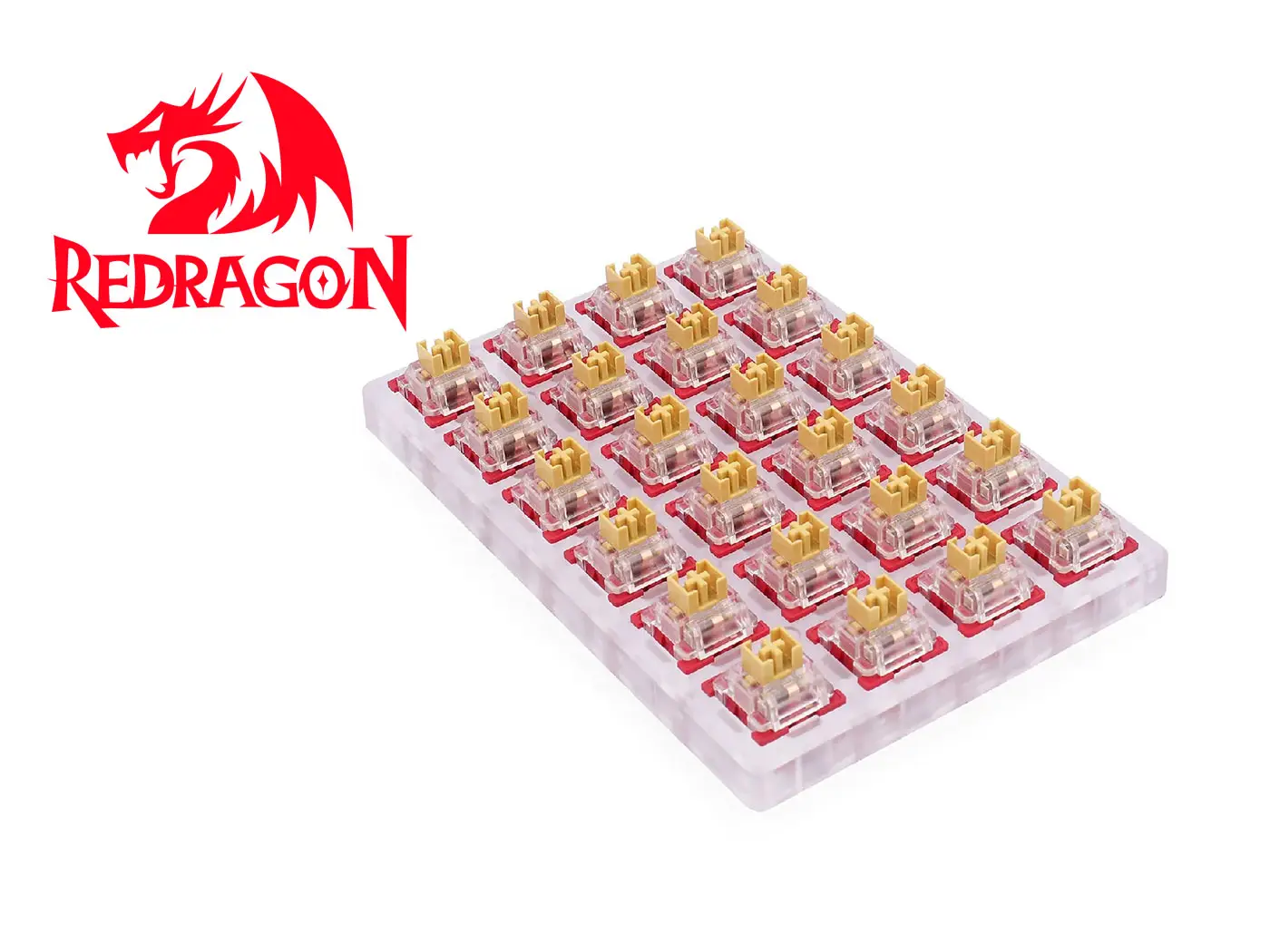 PLANTILLA-MESAJIL-(1)