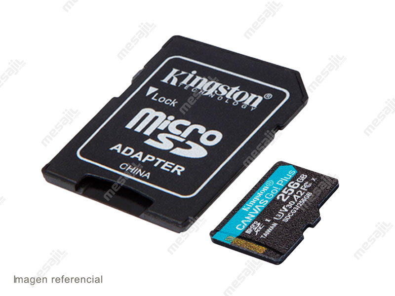 Memoria microSD 256GB Kingston Canvas Go! Plus 170 MB/s (SDCG3/256GB) -  Mesajil