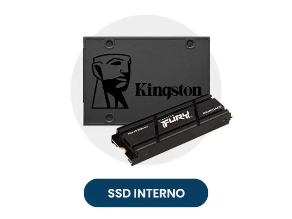 Unidad de Estado Sólido SSD Interno