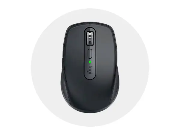 Mouse