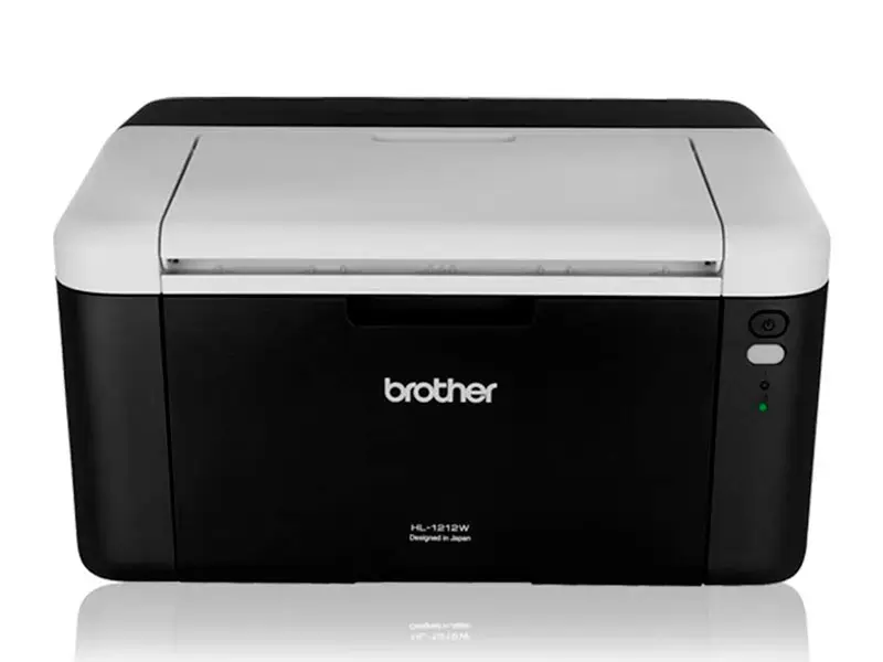 5498239-1.jpg